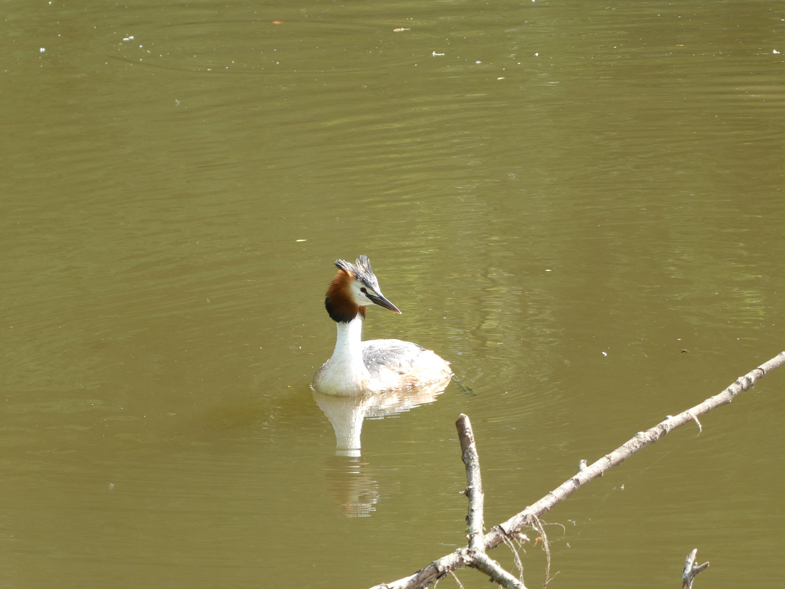 20230507094952 P1000231